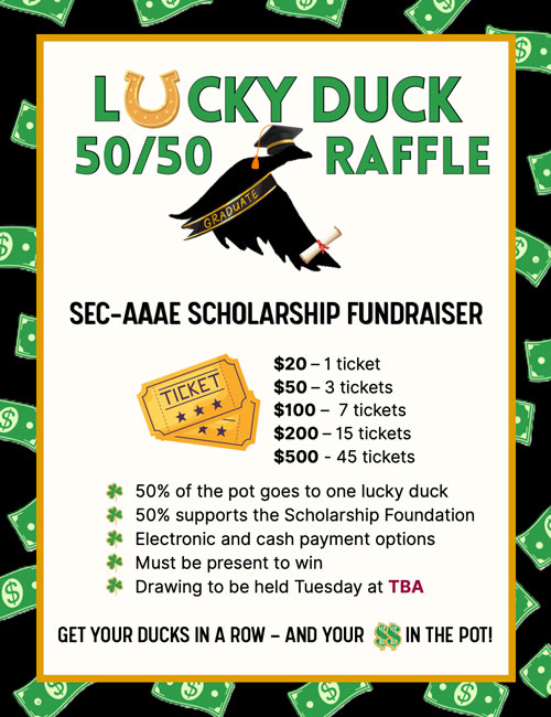 Image of the Lucky Duck Raffle Poster