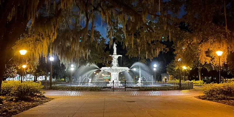 Placeholder - Old Savannah