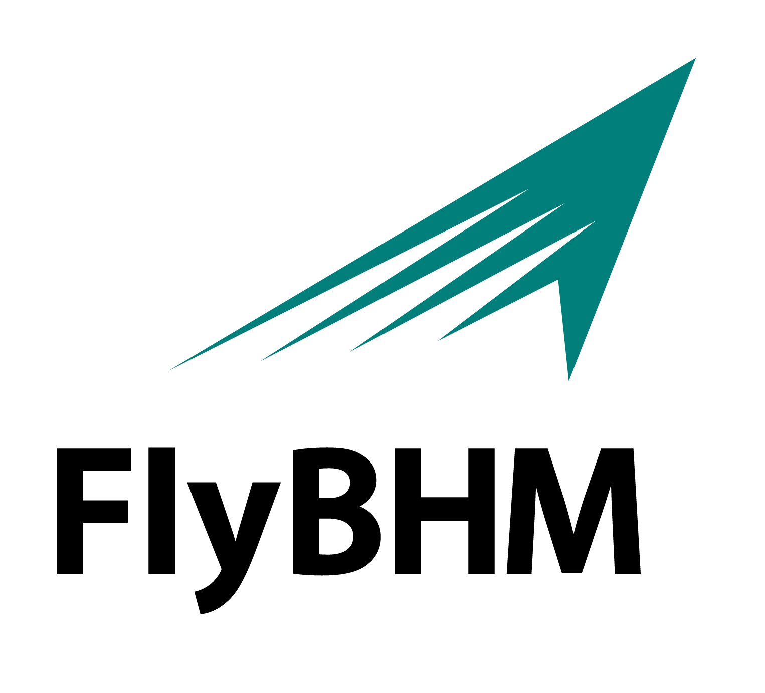 FlyBHM